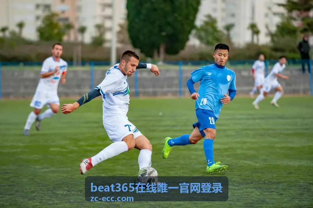 beat365在线唯一官网登录服务案例
